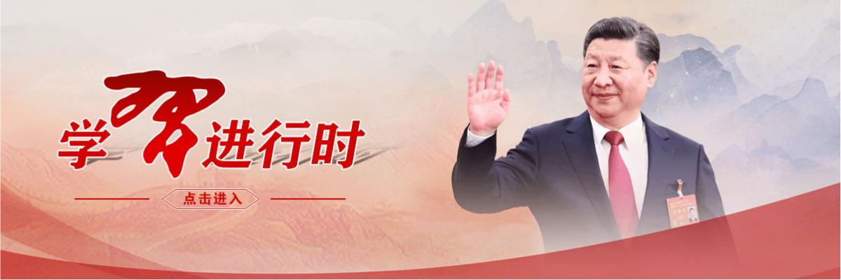 学习进行时